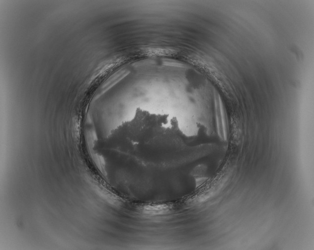 X0000111840357200908061258