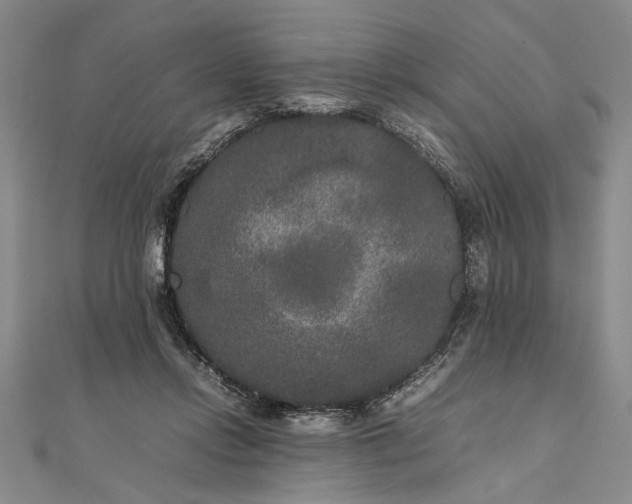 X0000111840358200908061258