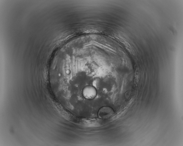 X0000111840359200908061258