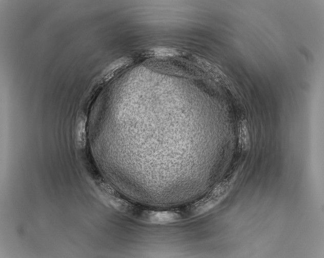 X0000111840360200908061258