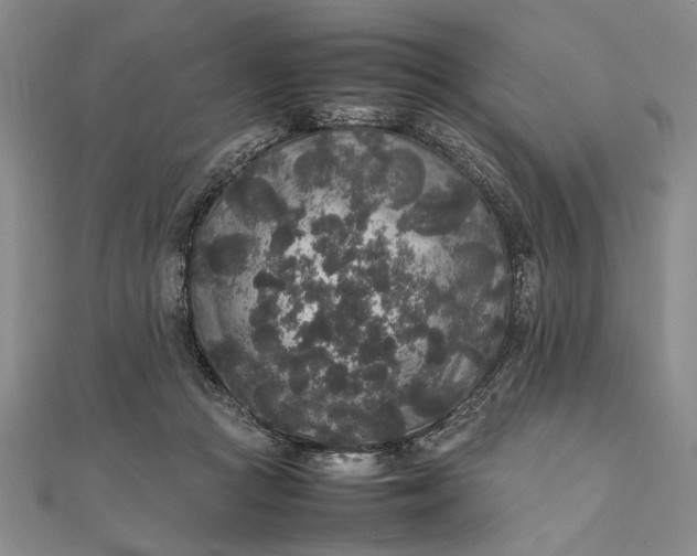 X0000111840361200908061258