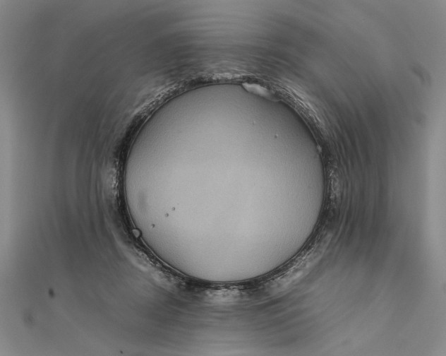 X0000111840362200908061258