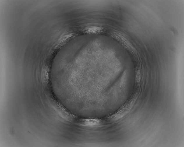 X0000111840363200908061258