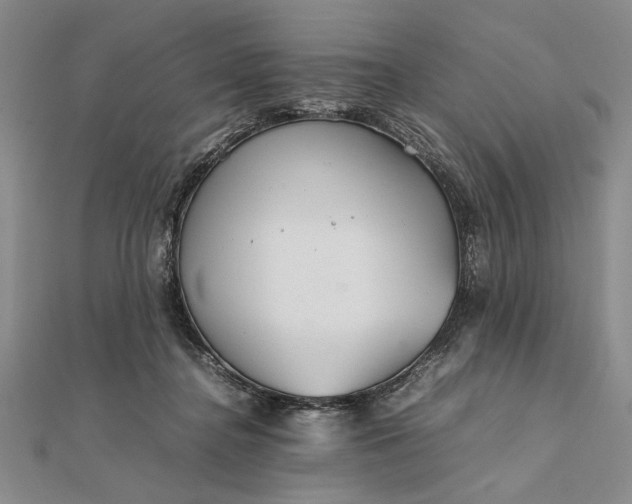 X0000111840364200908061258