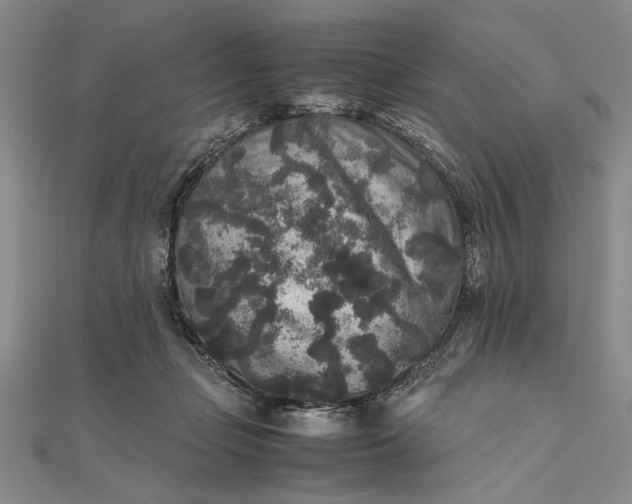 X0000111840365200908061258