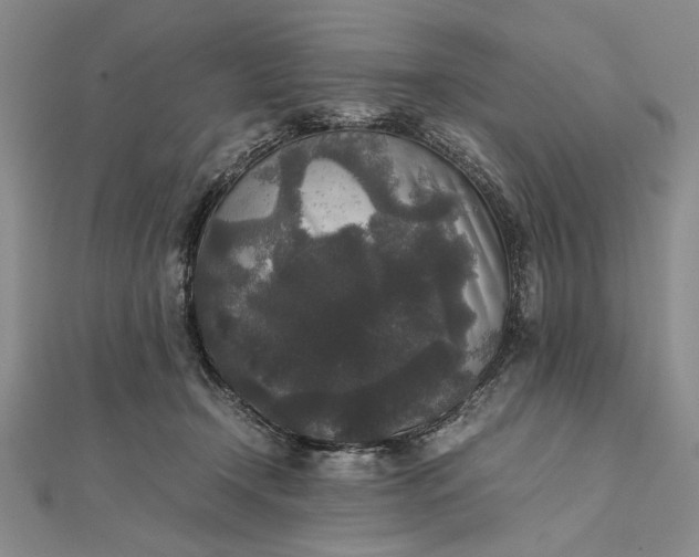 X0000111840366200908061258