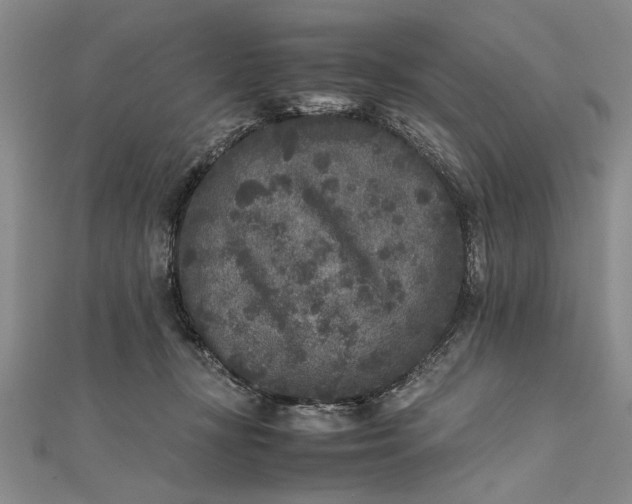 X0000111840367200908061258