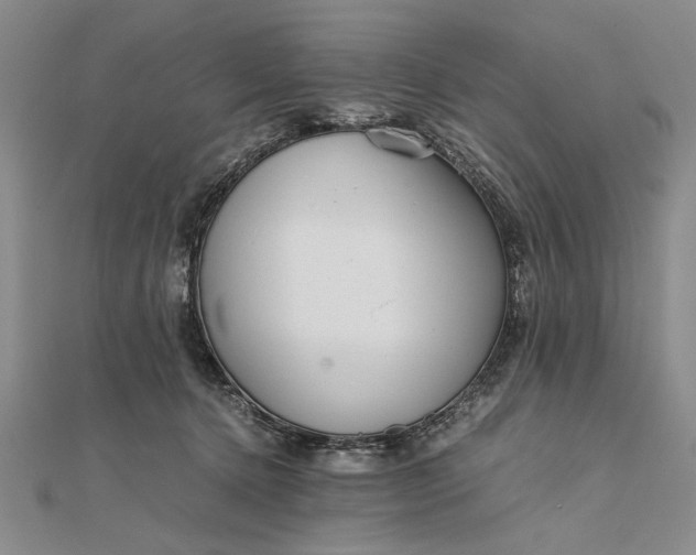 X0000111840368200908061258