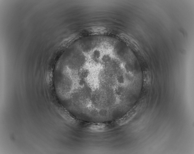 X0000111840369200908061258