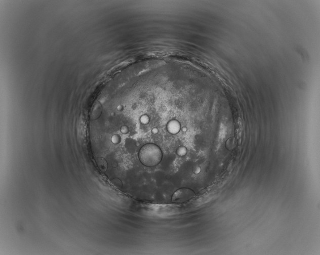 X0000111840371200908061258