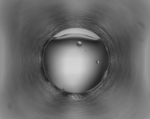 X0000111840372200908061258