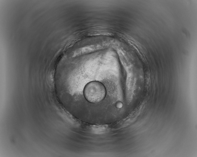 X0000111840373200908061258