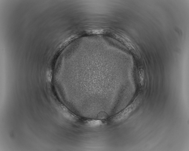 X0000111840374200908061258