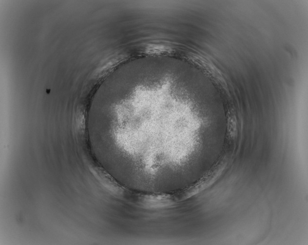 X0000111840375200908061258