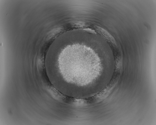 X0000111840376200908061258