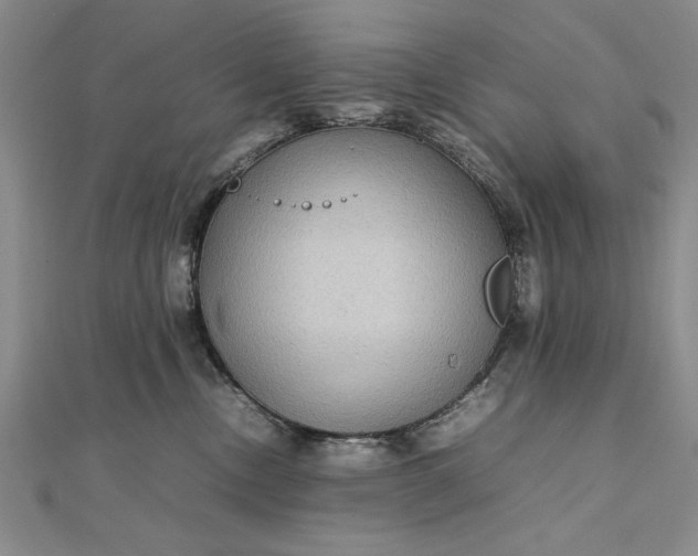 X0000111840378200908061258