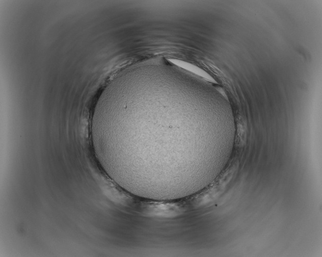 X0000111840379200908061258