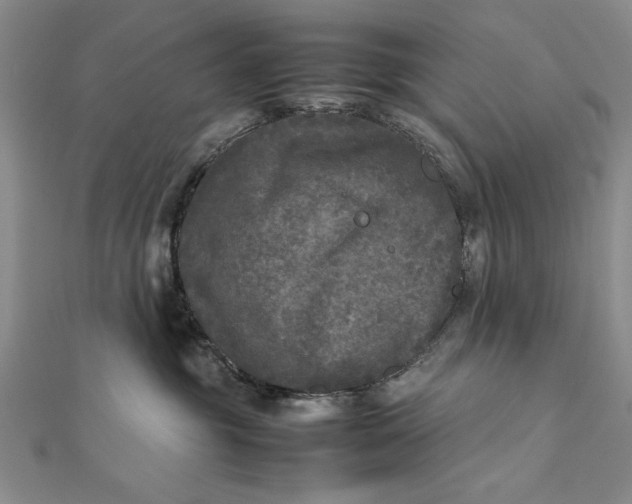 X0000111840381200908061258