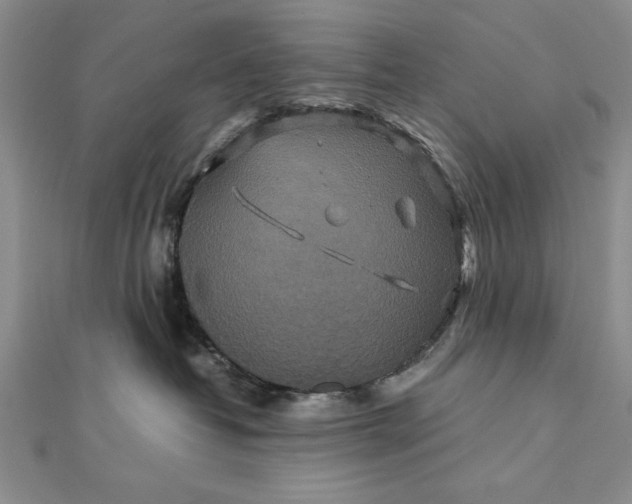 X0000111840382200908061258