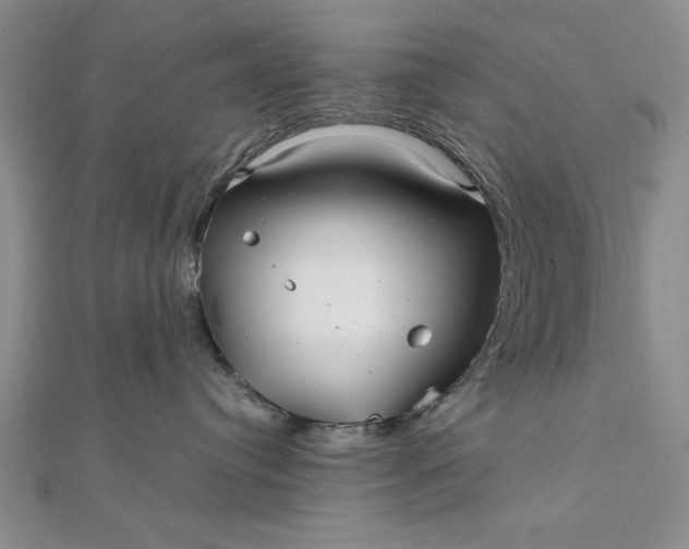 X0000111840384200908061258