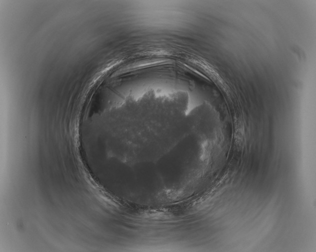 X0000111840386200908061258