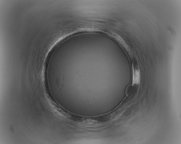 X0000111840387200908061258