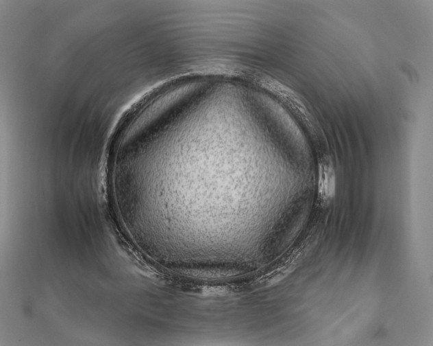 X0000111840388200908061258