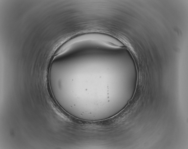 X0000111840389200908061258