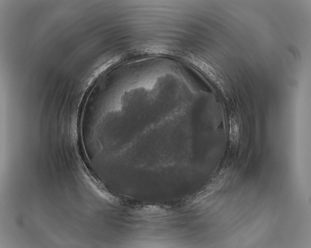 X0000111840390200908061258