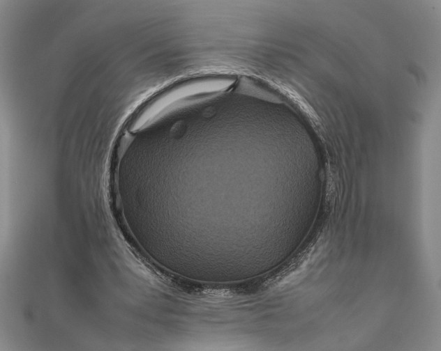 X0000111840391200908061258