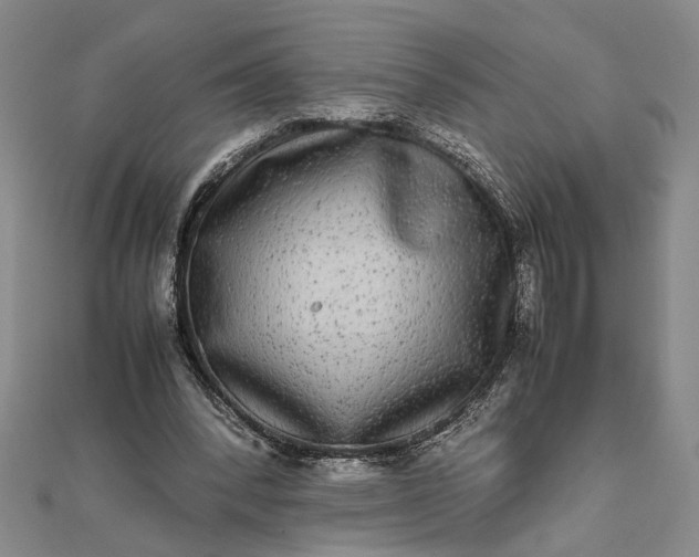 X0000111840392200908061258