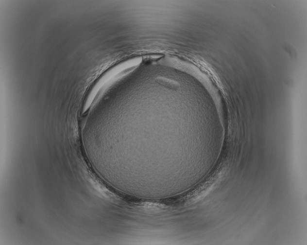 X0000111840393200908061258