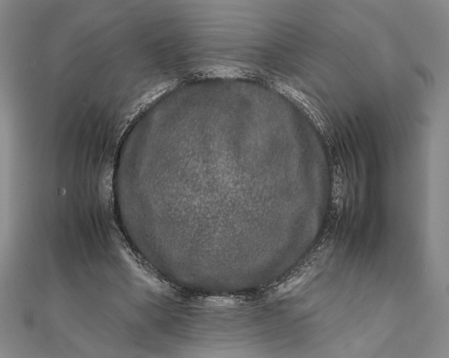 X0000111840394200908061258