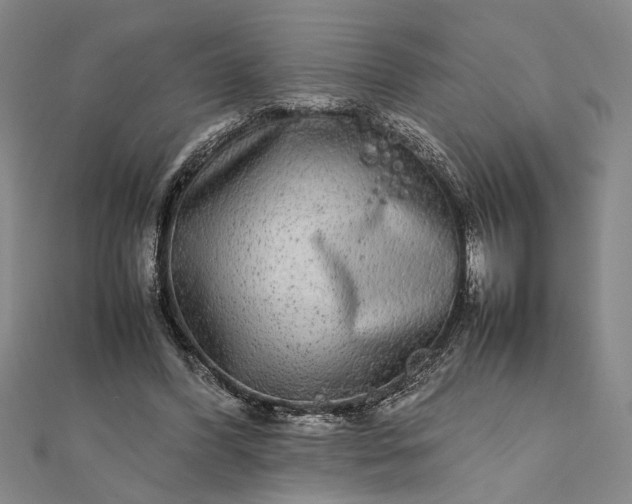 X0000111840396200908061258