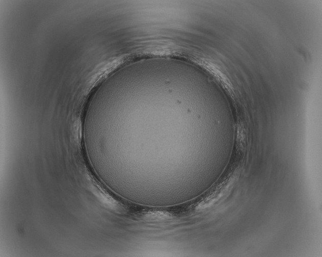 X0000111840397200908061258