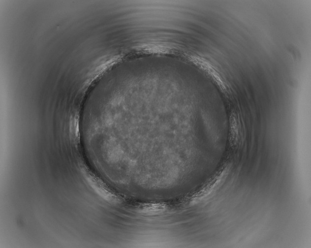 X0000111840398200908061258