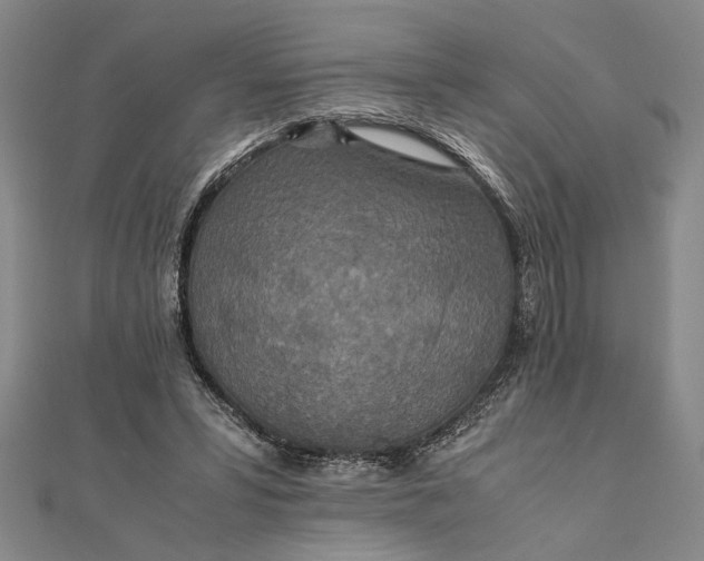 X0000111840399200908061258