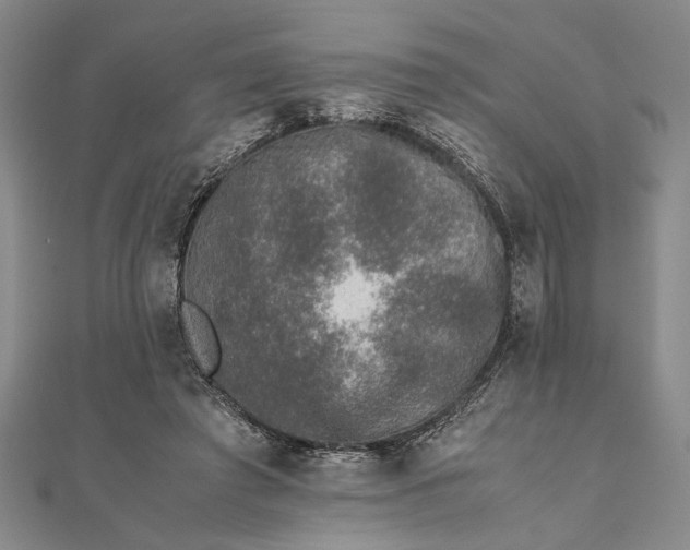 X0000111840401200908061258