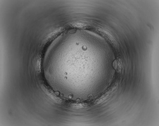 X0000111840404200908061258