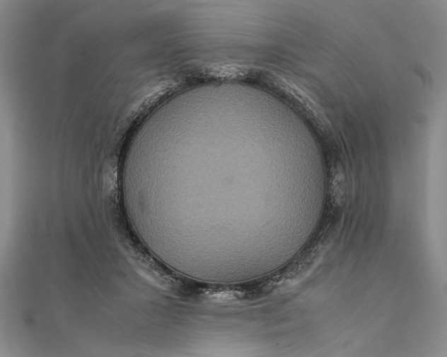 X0000111840407200908061257