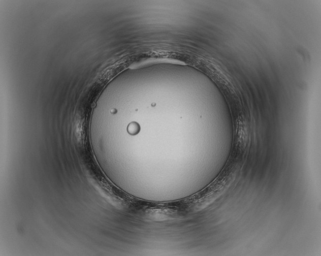 X0000111840408200908061257