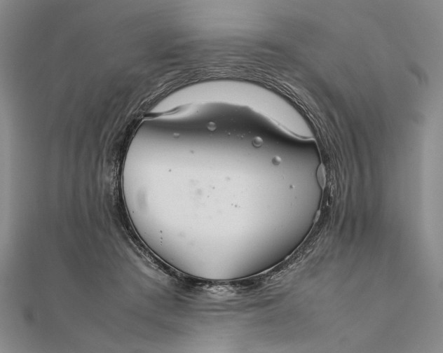 X0000111840409200908061257