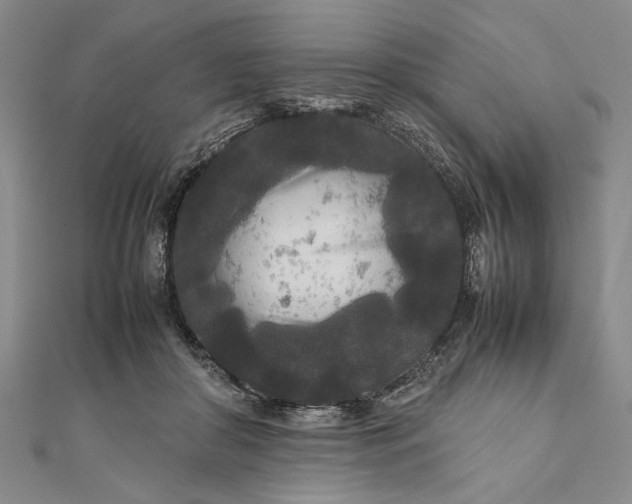 X0000111840410200908061257