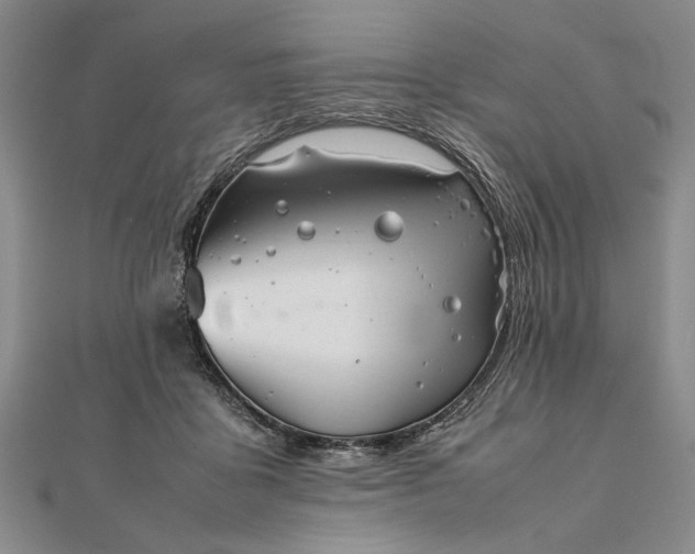 X0000111840411200908061257