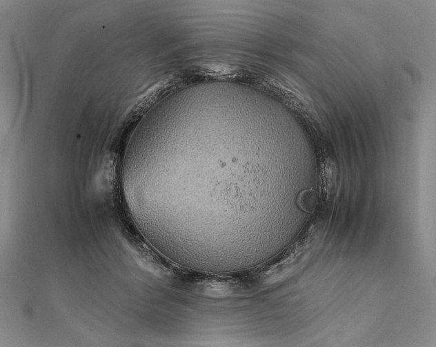 X0000111840412200908061257