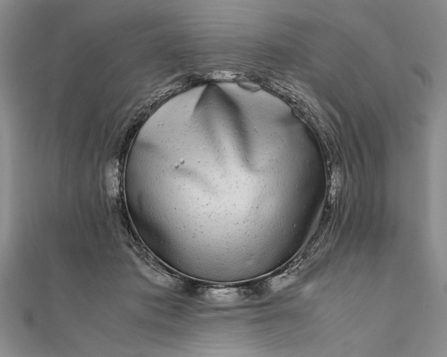 X0000111840413200908061257