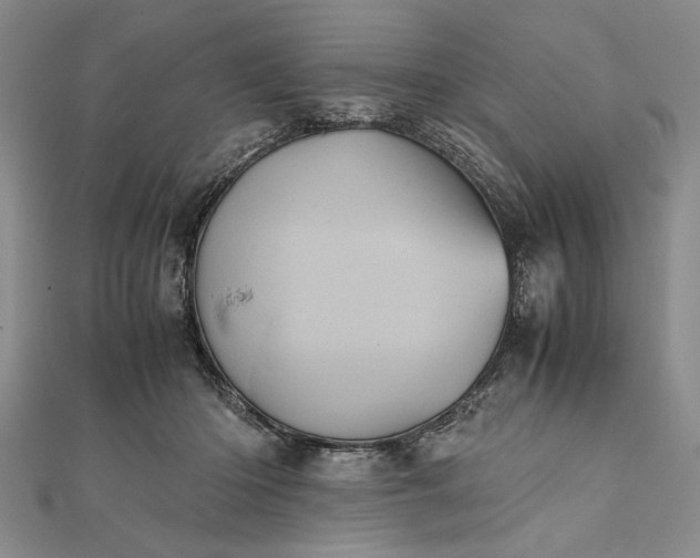 X0000111840414200908061257