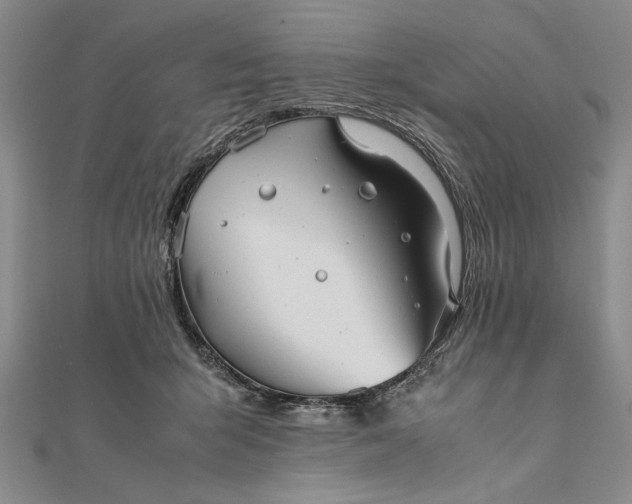 X0000111840415200908061257