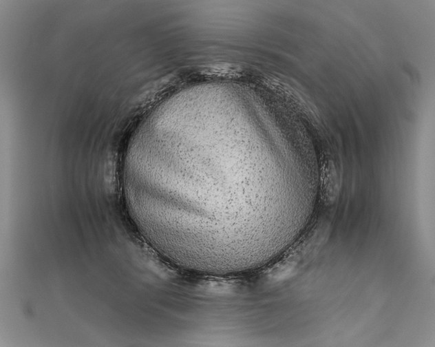 X0000111840416200908061257