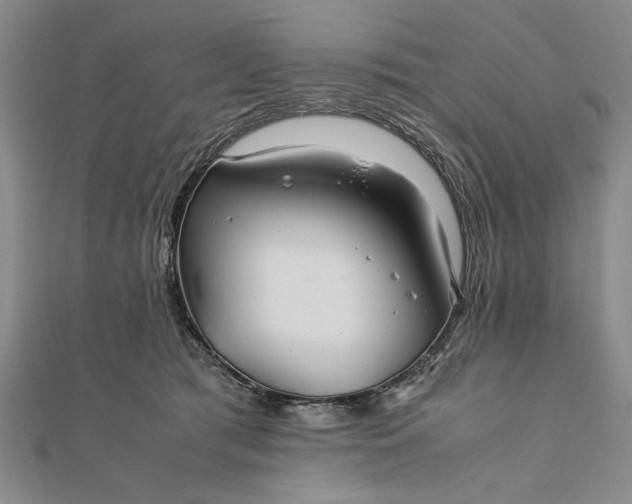 X0000111840417200908061257